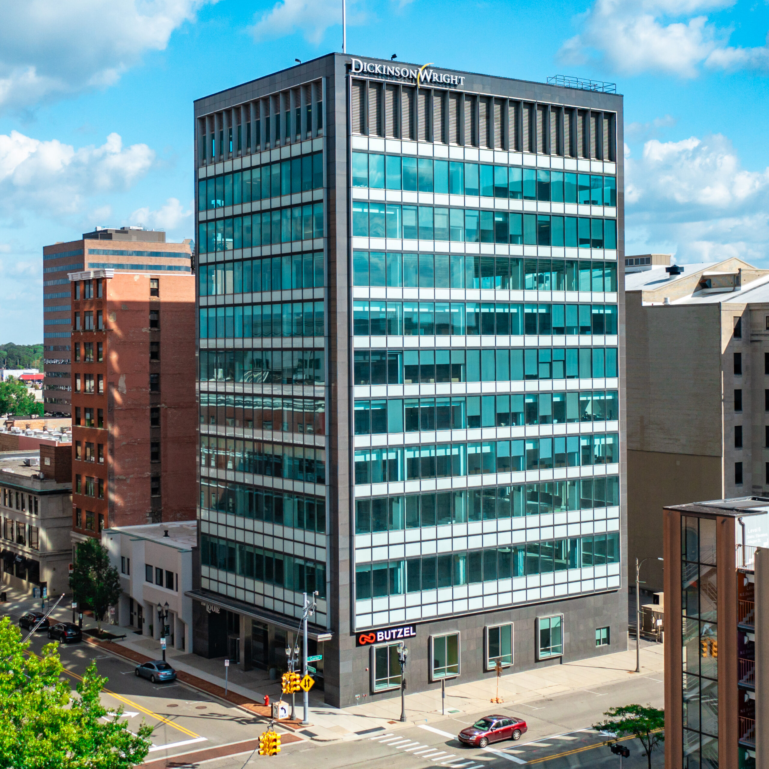 Read more about the article The Louie