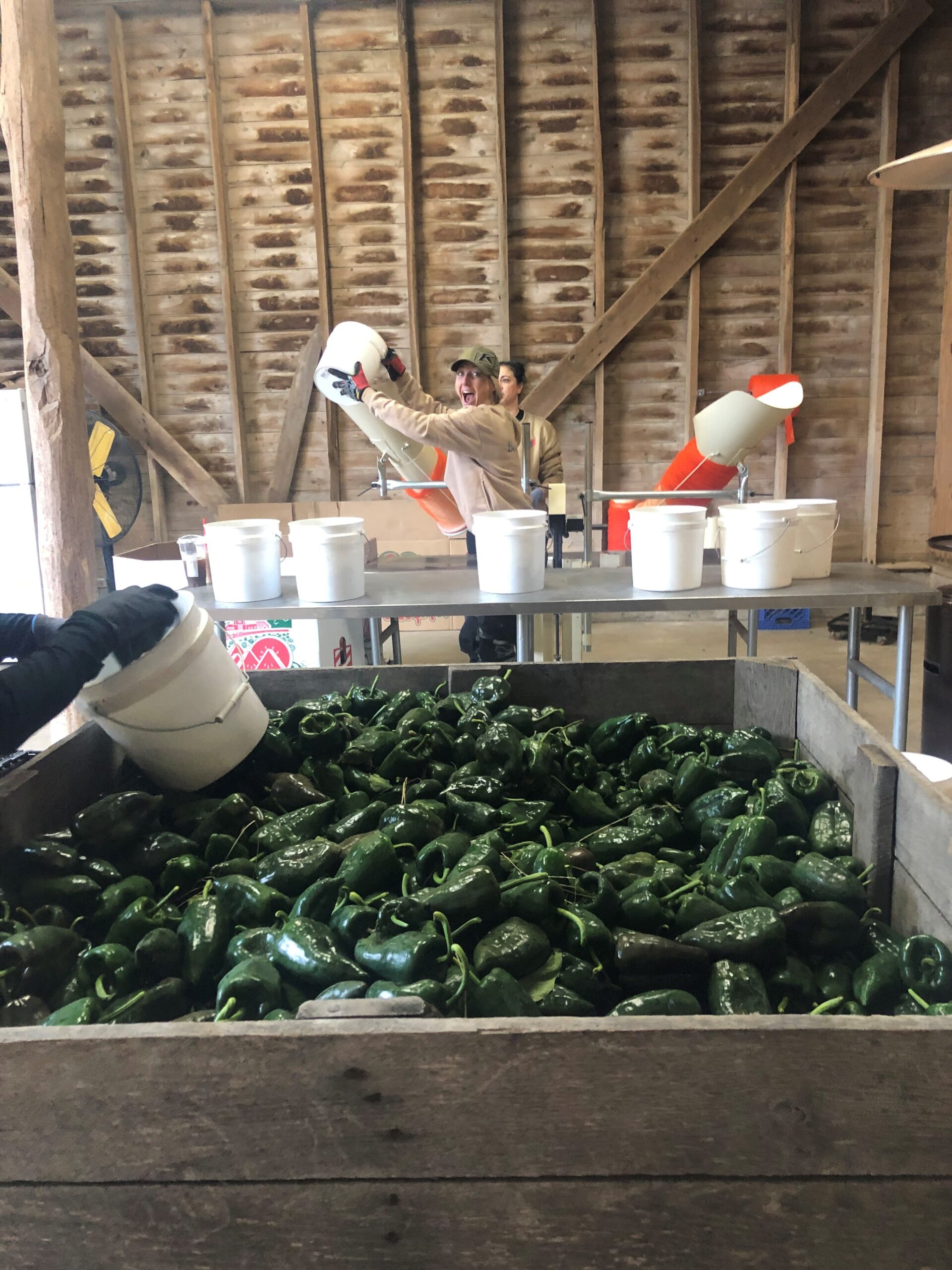 Read more about the article Forgotten Harvest 2023