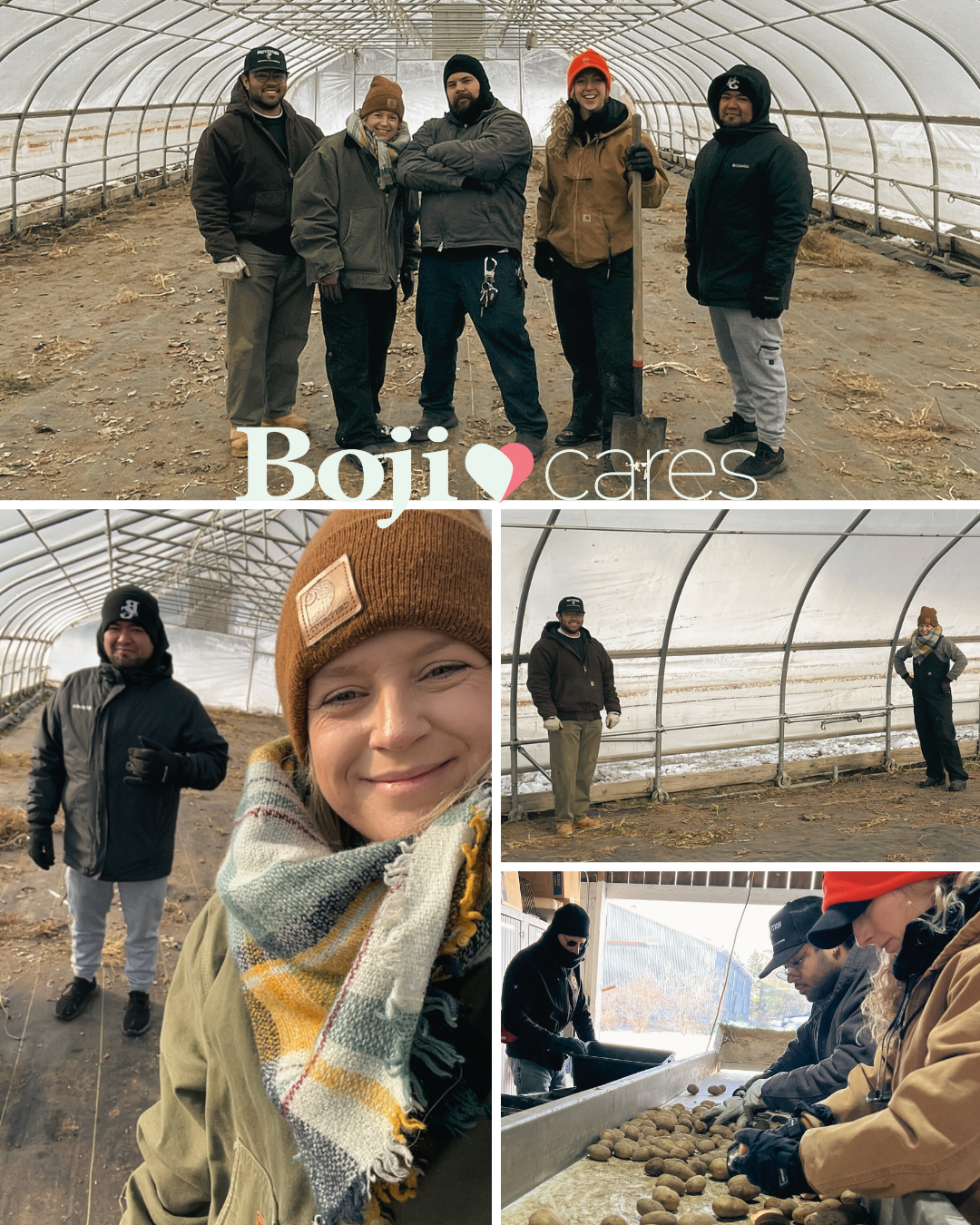 Read more about the article Forgotten Harvest – On the Farm 2025